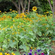 Krysteline and Edward's wedding 173 Carlyle House Historic Downtown Norcross