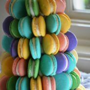 Tess and Daniel's Wedding 173 Carlyle House Historic Downtown Norcross Tess and Daniel's Wedding 173 Carlyle House Historic Downtown Norcross