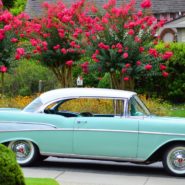 Abby and Bennett's wedding 173 Carlyle House Historic Downtown Norcross Abby and Bennett's wedding 173 Carlyle House Historic Downtown Norcross