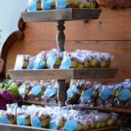 Amanda and Kyle's Wedding Reception 173 Carlyle House Historic Downtown Norcross