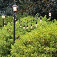 Katie and Michael's wedding 173 Carlyle House Historic Downtown Norcross Katie and Michael's wedding 173 Carlyle House Historic Downtown Norcross