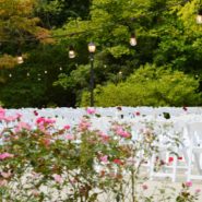 Katie and Michael's wedding 173 Carlyle House Historic Downtown Norcross Katie and Michael's wedding 173 Carlyle House Historic Downtown Norcross