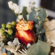 Julia and Josh's Wedding 173 Carlyle House Historic Downtown Norcross Julia and Josh's Wedding 173 Carlyle House Historic Downtown Norcross