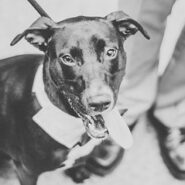 BEST OF WEDDINGS HALL OF FAME 2021 173 Carlyle House Historic Downtown Norcross BEST OF WEDDINGS HALL OF FAME 2021 173 Carlyle House Historic Downtown Norcross