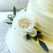 The Knot Best of Weddings 2022 173 Carlyle House Historic Downtown Norcross The Knot Best of Weddings 2022 173 Carlyle House Historic Downtown Norcross