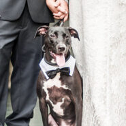 173 Carlyle House Winner in 2021 173 Carlyle House Historic Downtown Norcross 173 Carlyle House Winner in 2021 173 Carlyle House Historic Downtown Norcross