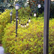 Joy and Jake's Wedding 173 Carlyle House Historic Downtown Norcross Joy and Jake's Wedding 173 Carlyle House Historic Downtown Norcross