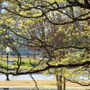 Joy and Jake's Wedding 173 Carlyle House Historic Downtown Norcross Joy and Jake's Wedding 173 Carlyle House Historic Downtown Norcross