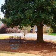 Joy and Jake's Wedding 173 Carlyle House Historic Downtown Norcross