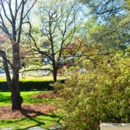 Blair and Shawn's wedding 173 Carlyle House Historic Downtown Norcross Blair and Shawn's wedding 173 Carlyle House Historic Downtown Norcross