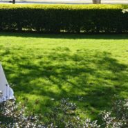 Blair and Shawn's wedding 173 Carlyle House Historic Downtown Norcross Blair and Shawn's wedding 173 Carlyle House Historic Downtown Norcross