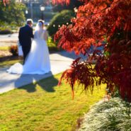 Blair and Shawn's wedding 173 Carlyle House Historic Downtown Norcross Blair and Shawn's wedding 173 Carlyle House Historic Downtown Norcross