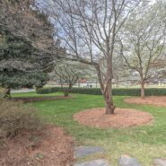 View 173 Carlyle House Historic Downtown Norcross View 173 Carlyle House Historic Downtown Norcross