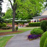 Allison's Quinceañera 173 Carlyle House Historic Downtown Norcross