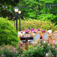 Allison's Quinceañera 173 Carlyle House Historic Downtown Norcross Allison's Quinceañera 173 Carlyle House Historic Downtown Norcross