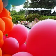 Allison's Quinceañera 173 Carlyle House Historic Downtown Norcross Allison's Quinceañera 173 Carlyle House Historic Downtown Norcross