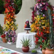 Allison's Quinceañera 173 Carlyle House Historic Downtown Norcross Allison's Quinceañera 173 Carlyle House Historic Downtown Norcross