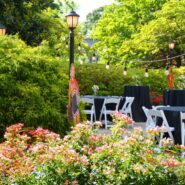 2021 Graduation Party 173 Carlyle House Historic Downtown Norcross 2021 Graduation Party 173 Carlyle House Historic Downtown Norcross