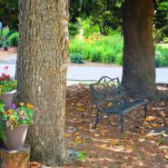 2021 Graduation Party 173 Carlyle House Historic Downtown Norcross 2021 Graduation Party 173 Carlyle House Historic Downtown Norcross