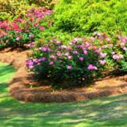 Brenda and George's Wedding 173 Carlyle House Historic Downtown Norcross Brenda and George's Wedding 173 Carlyle House Historic Downtown Norcross