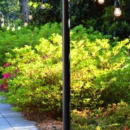 Brenda and George's Wedding 173 Carlyle House Historic Downtown Norcross Brenda and George's Wedding 173 Carlyle House Historic Downtown Norcross