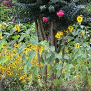 Rebekah and Ethan's Rehearsal Dinner 173 Carlyle House Historic Downtown Norcross Rebekah and Ethan's Rehearsal Dinner 173 Carlyle House Historic Downtown Norcross