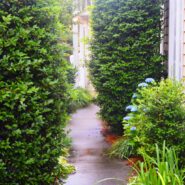 Rebekah and Ethan Wedding 173 Carlyle House Historic Downtown Norcross Rebekah and Ethan Wedding 173 Carlyle House Historic Downtown Norcross