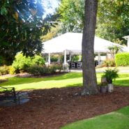 Sara and Ilyas's Wedding Reception 173 Carlyle House Historic Downtown Norcross Sara and Ilyas's Wedding Reception 173 Carlyle House Historic Downtown Norcross