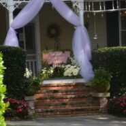 Sara and Ilyas's Wedding Reception 173 Carlyle House Historic Downtown Norcross Sara and Ilyas's Wedding Reception 173 Carlyle House Historic Downtown Norcross