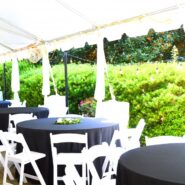 Sara and Ilyas's Wedding Reception 173 Carlyle House Historic Downtown Norcross Sara and Ilyas's Wedding Reception 173 Carlyle House Historic Downtown Norcross