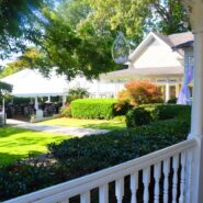 Sara and Ilyas's Wedding Reception 173 Carlyle House Historic Downtown Norcross Sara and Ilyas's Wedding Reception 173 Carlyle House Historic Downtown Norcross