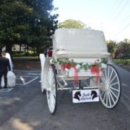 Sara and Ilyas's Wedding Reception 173 Carlyle House Historic Downtown Norcross Sara and Ilyas's Wedding Reception 173 Carlyle House Historic Downtown Norcross