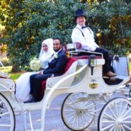 Sara and Ilyas's Wedding Reception 173 Carlyle House Historic Downtown Norcross Sara and Ilyas's Wedding Reception 173 Carlyle House Historic Downtown Norcross