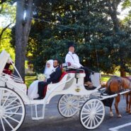 Sara and Ilyas's Wedding Reception 173 Carlyle House Historic Downtown Norcross Sara and Ilyas's Wedding Reception 173 Carlyle House Historic Downtown Norcross