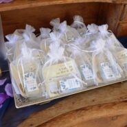 Jewel and David's Wedding 173 Carlyle House Historic Downtown Norcross Jewel and David's Wedding 173 Carlyle House Historic Downtown Norcross