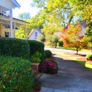 Jewel and David's Wedding 173 Carlyle House Historic Downtown Norcross Jewel and David's Wedding 173 Carlyle House Historic Downtown Norcross