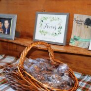 Liz and Adam's Wedding 173 Carlyle House Historic Downtown Norcross Liz and Adam's Wedding 173 Carlyle House Historic Downtown Norcross