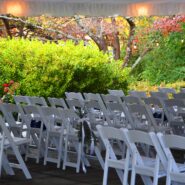 Lexi and Paul's Wedding 173 Carlyle House Historic Downtown Norcross Lexi and Paul's Wedding 173 Carlyle House Historic Downtown Norcross