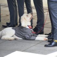 Lexi and Paul's Wedding 173 Carlyle House Historic Downtown Norcross Lexi and Paul's Wedding 173 Carlyle House Historic Downtown Norcross