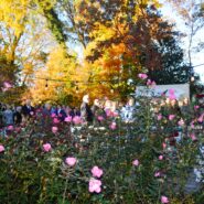 Kali and Kyle's Wedding 173 Carlyle House Historic Downtown Norcross Kali and Kyle's Wedding 173 Carlyle House Historic Downtown Norcross