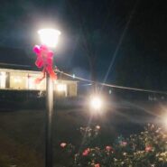 December Christmas Parties 2021 173 Carlyle House Historic Downtown Norcross December Christmas Parties 2021 173 Carlyle House Historic Downtown Norcross