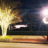 December Christmas Parties 2021 173 Carlyle House Historic Downtown Norcross December Christmas Parties 2021 173 Carlyle House Historic Downtown Norcross