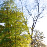 Nicole and Jack 173 Carlyle House Historic Downtown Norcross Nicole and Jack 173 Carlyle House Historic Downtown Norcross