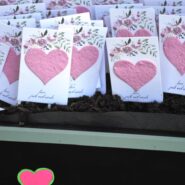 Nicole and Jack 173 Carlyle House Historic Downtown Norcross Nicole and Jack 173 Carlyle House Historic Downtown Norcross