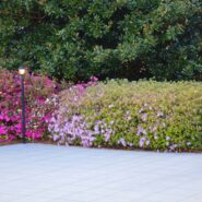 Bella and Harrison's Rehearsal Dinner 173 Carlyle House Historic Downtown Norcross Bella and Harrison's Rehearsal Dinner 173 Carlyle House Historic Downtown Norcross