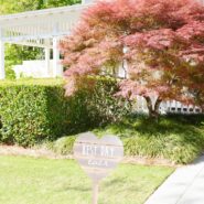 Nadiyah and LaPriest's Wedding 173 Carlyle House Historic Downtown Norcross Nadiyah and LaPriest's Wedding 173 Carlyle House Historic Downtown Norcross