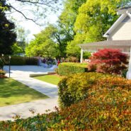 Nadiyah and LaPriest's Wedding 173 Carlyle House Historic Downtown Norcross Nadiyah and LaPriest's Wedding 173 Carlyle House Historic Downtown Norcross