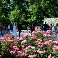 Christine and Erick's Wedding 173 Carlyle House Historic Downtown Norcross Christine and Erick's Wedding 173 Carlyle House Historic Downtown Norcross