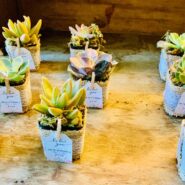 Laura and Miguel's Wedding 173 Carlyle House Historic Downtown Norcross Laura and Miguel's Wedding 173 Carlyle House Historic Downtown Norcross