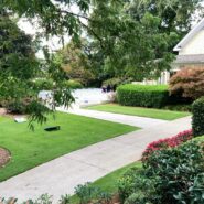 Claudia and Dawson's Wedding 173 Carlyle House Historic Downtown Norcross Claudia and Dawson's Wedding 173 Carlyle House Historic Downtown Norcross